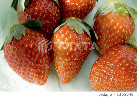 イチゴ イチゴ 5305049