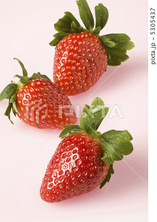 イチゴ イチゴ 5305437