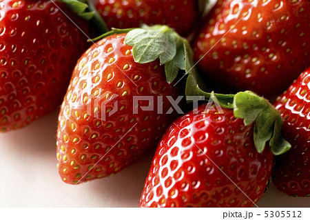 イチゴ 5305512