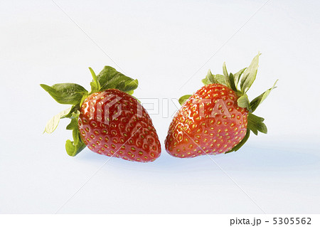 イチゴ 5305562