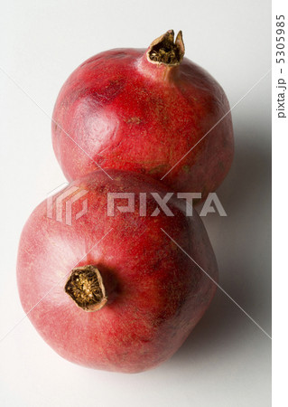 イチジク イチジク 5305985