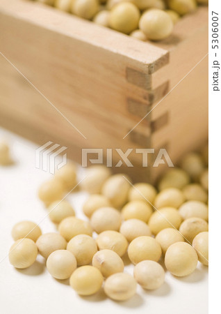 節分 節分 5306007