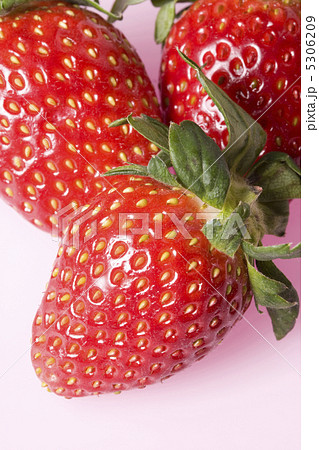 イチゴ 5306209