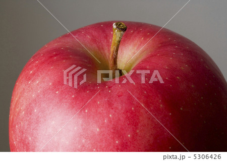 リンゴ リンゴ 5306426