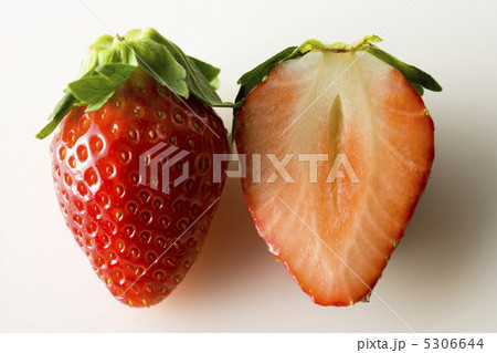 イチゴ イチゴ 5306644