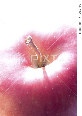 リンゴ リンゴ 5306745