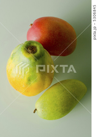 マンゴーとパパイア マンゴーとパパイア 5306845