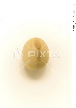 大豆 大豆 5306857