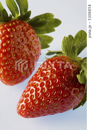 イチゴ 5306858