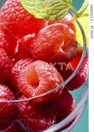 ラズベリー ラズベリー 5306880