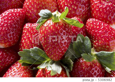 イチゴ イチゴ 5306982