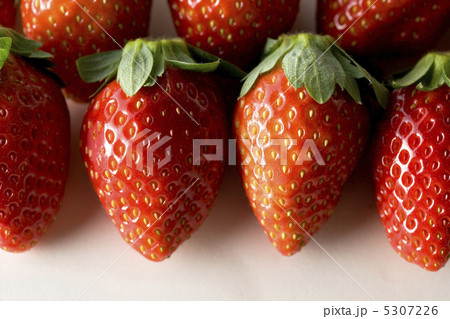 イチゴ イチゴ 5307226
