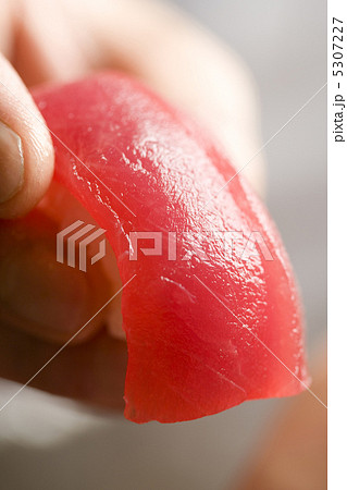 まぐろの握り まぐろの握り 5307227