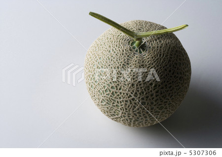 メロン 5307306