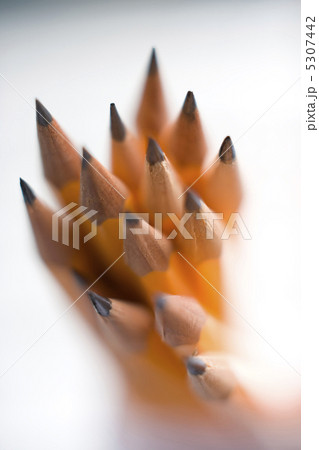 鉛筆 鉛筆 5307442