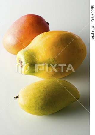 マンゴーとパパイア マンゴーとパパイア 5307499
