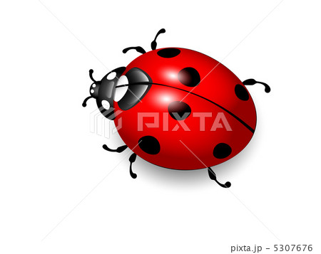 Ladybird. Vector illustration of ladybug on white background. Ep Ladybird. Vector illustration of ladybug on white background. Ep 5307676