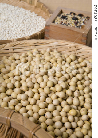 大豆 5308262