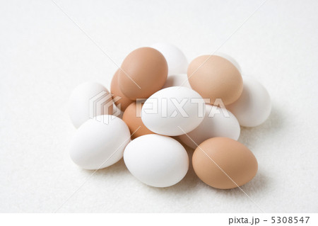 タマゴ タマゴ 5308547