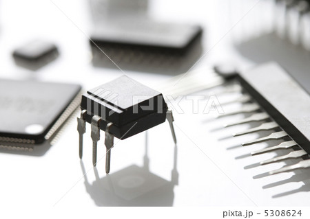 チップ チップ 5308624