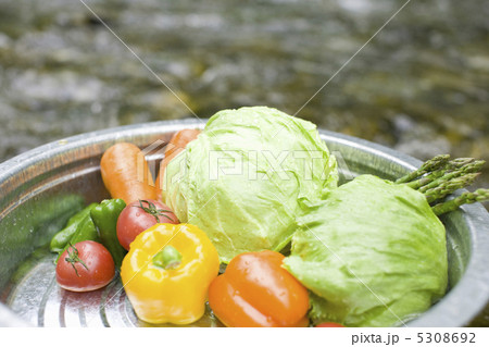 緑黄色野菜 5308692