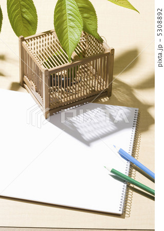 夏休みイメージ 5308892