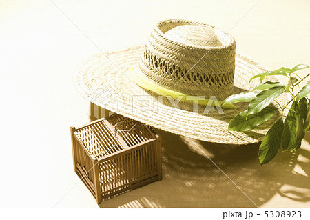 夏イメージ 5308923