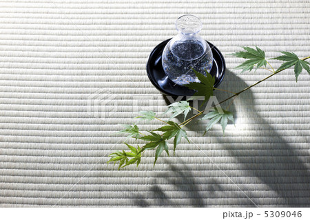 和風イメージ 和風イメージ 5309046