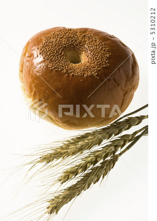 穀物 穀物 5310212