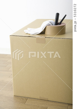 引っ越し 引っ越し 5310272