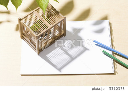 夏休みイメージ 5310373