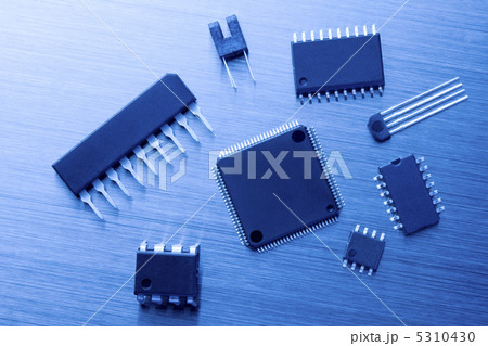 チップ 5310430