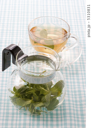 スペアミント 5310831