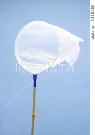 虫網 虫網 5310960