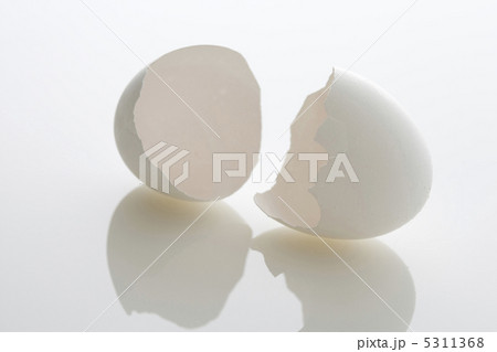 卵の殻 5311368