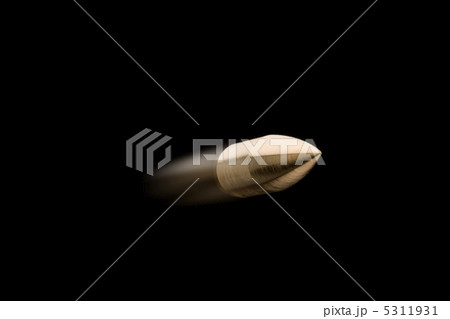 弾丸 弾丸 5311931