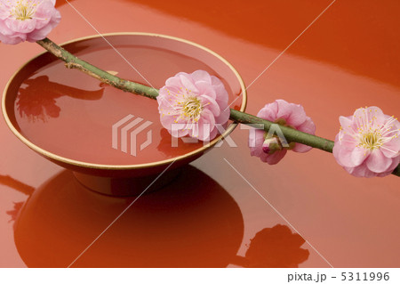 和風イメージ 5311996