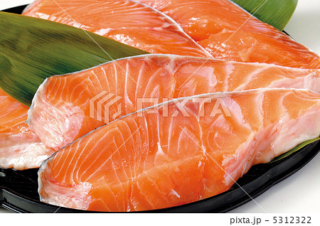 キングサーモン サーモン 魚 鮭 魚切り身 魚介類 食材の写真素材