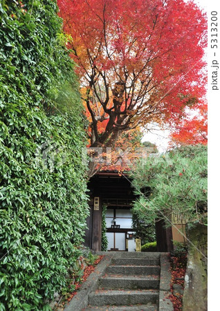 京都 金福寺の秋 京都 金福寺の秋 5313200