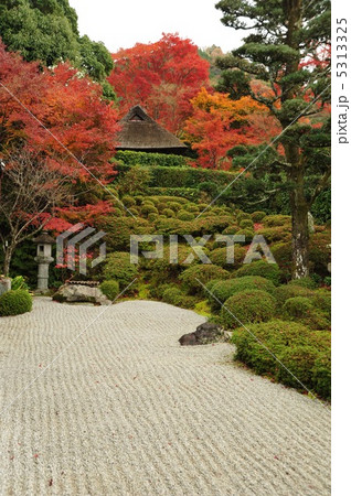 京都 金福寺の秋 京都 金福寺の秋 5313325