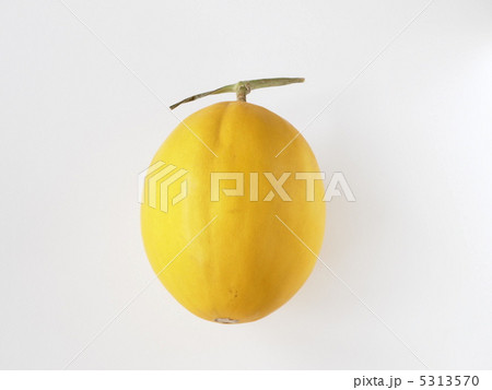黄色いカナリアメロン 黄色いカナリアメロン 5313570