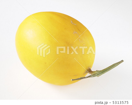 黄色いカナリアメロン 5313575