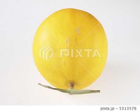 黄色いカナリアメロン 5313576