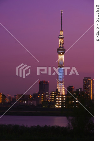 東京スカイツリー・夕景 東京スカイツリー・夕景 5313620