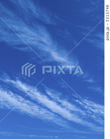 夏の空 5313746