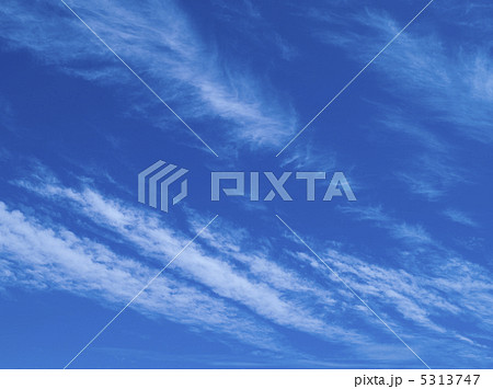 夏の空 5313747