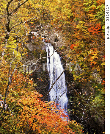 紅葉の秋保大滝 5314217