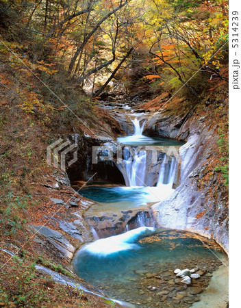 秋の西沢渓谷　五段の滝 5314239