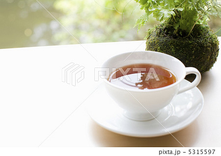 紅茶 紅茶 5315597