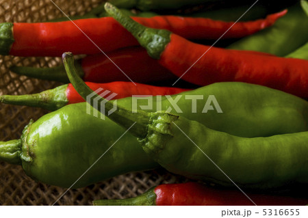 獅子唐 獅子唐 5316655